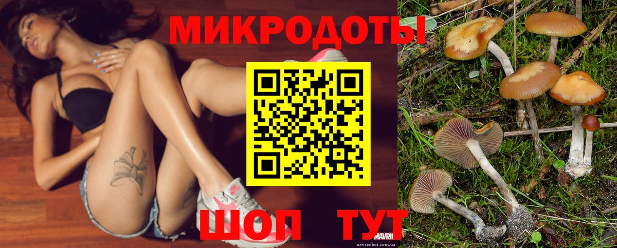 Галлюциногенные грибы прущие грибы Кинель