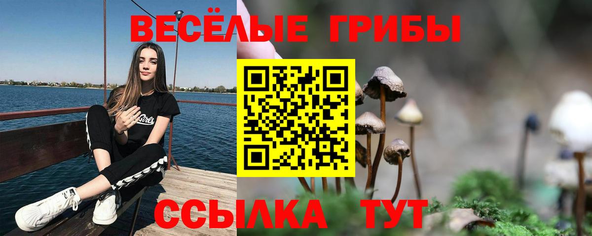 Кинель  Галлюциногенные грибы Psilocybine cubensis  Вход с VPN  Галлюциногенные грибы ЛСД 